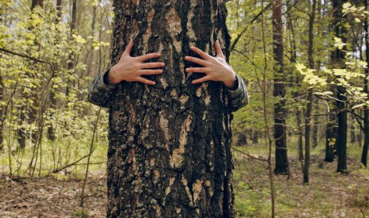 To Be Someone Else, You Must First Know Yourself